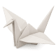WPCondify